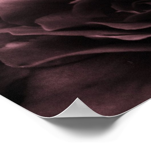 Dusty Plum Sluiten van een Dubbel Begonia Poster (Hoek)