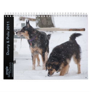 Dusty & Polu 2011 Kalender