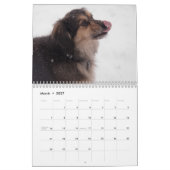 Dusty & Polu 2011 Kalender (Mar 2027)