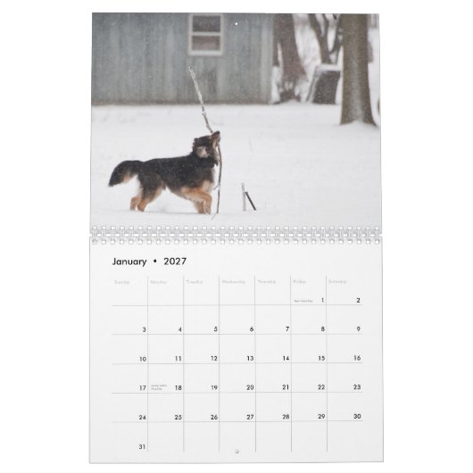 Dusty & Polu 2011 Kalender (Jan 2027)