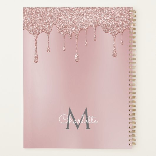 Dusty Roos Glitter Drips Monogram Script 2023 Planner (Achterkant)