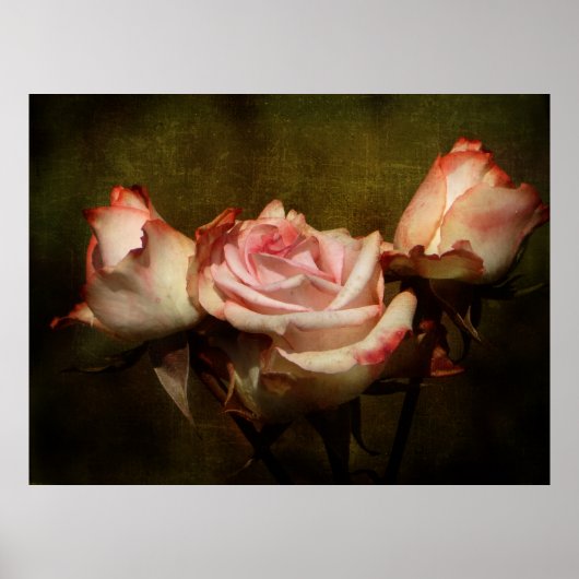 Dusty Roos Stretch Poster Print (Voorkant)