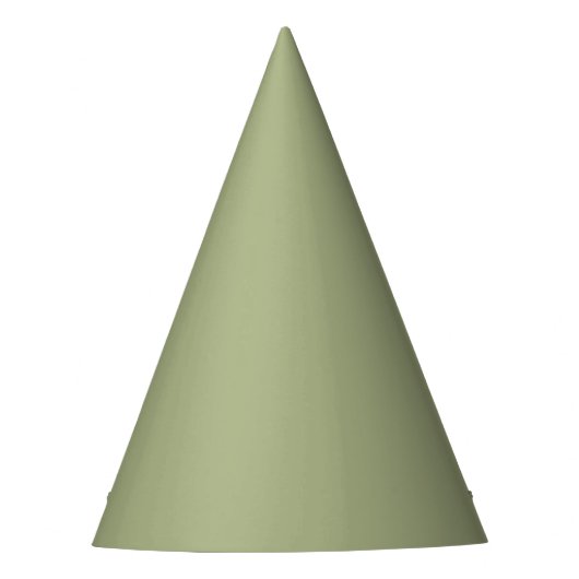 Dusty Sage Green Solid Color Feesthoedjes (Voorkant)
