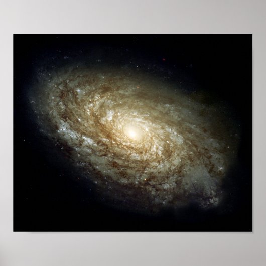 Dusty Spiral Galaxy Poster (Voorkant)