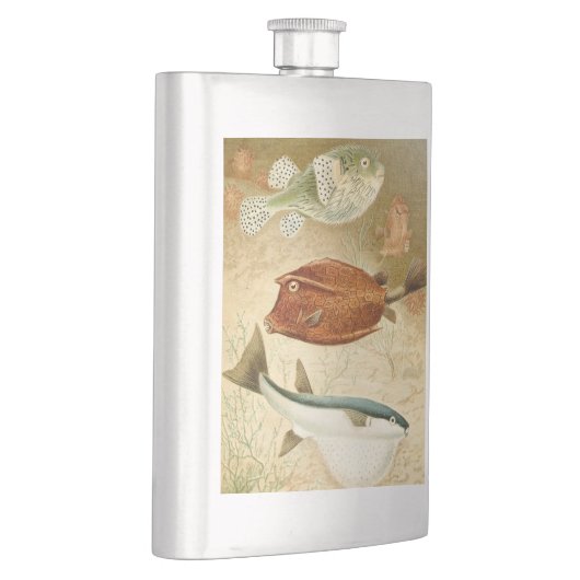 Dutch Aquatic Flacon (Rechts)