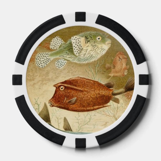 Dutch Aquatic Poker Chips (Voorkant)