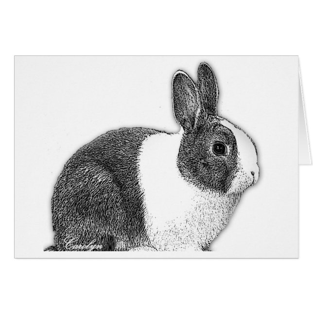 Dutch Bunny (Voorkant Horizontaal)