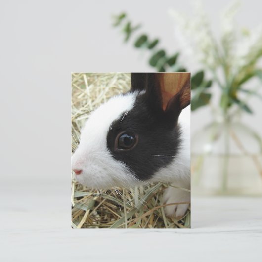 Dutch Bunny Briefkaart (Staand voorkant)