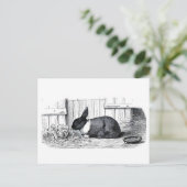 Dutch Bunny Briefkaart (Staand voorkant)