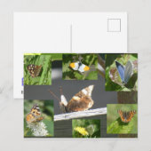 Dutch Butterflies Collage DIY Briefkaart (Voorkant / Achterkant)