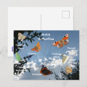 Dutch Butterflies Namen Briefkaart (Voorkant / Achterkant)