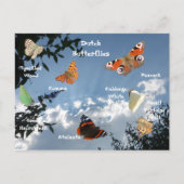 Dutch Butterflies Namen Briefkaart (Voorkant)