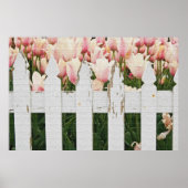 Dutch Pink Tulip Garden Poster (Voorkant)