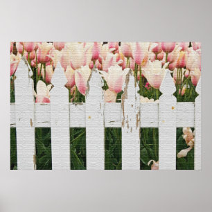 Dutch Pink Tulip Garden Poster