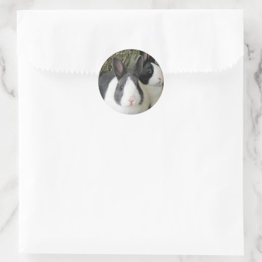 Dutch Rabbits sticker (Tas)