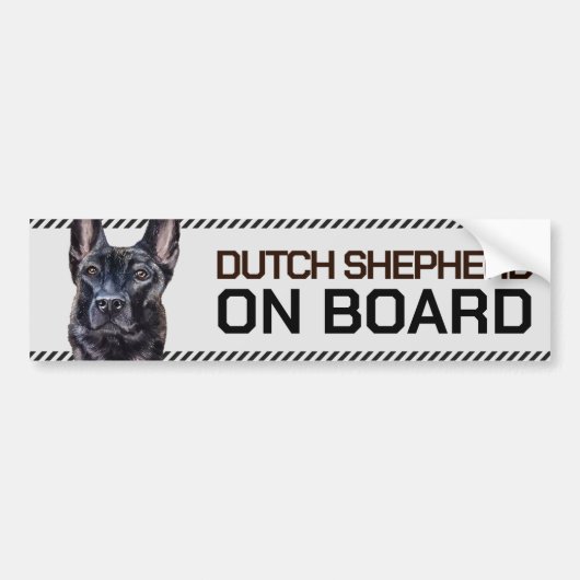 Dutch Shepherd aan boord Bumpersticker (Voorkant)