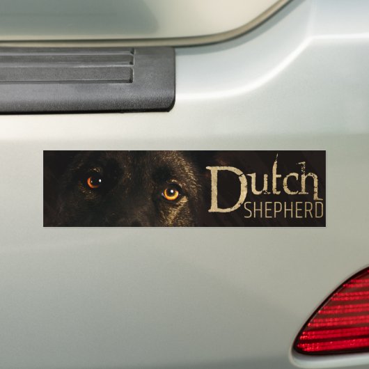 Dutch Shepherd Dog - Dutchie Bumpersticker (Op auto)