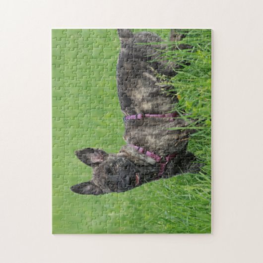 Dutch Shepherd Dog Legpuzzel (Verticaal)