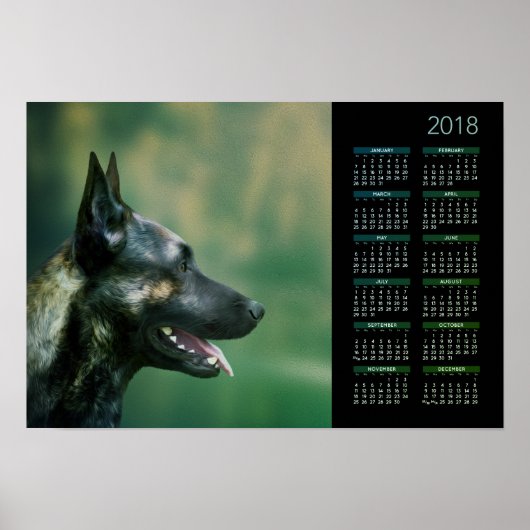 Dutch Shepherd - Dutchie Calendar 2018 Poster (Voorkant)