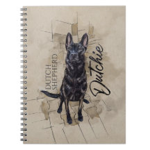 Dutch Shepherd - Nederlandse illustratie