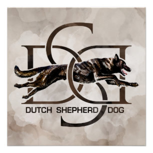 Dutch Shepherd - Nederlandse illustratie Perfect Poster