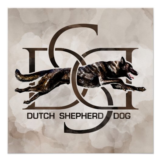Dutch Shepherd - Nederlandse illustratie Perfect Poster (Voorkant)