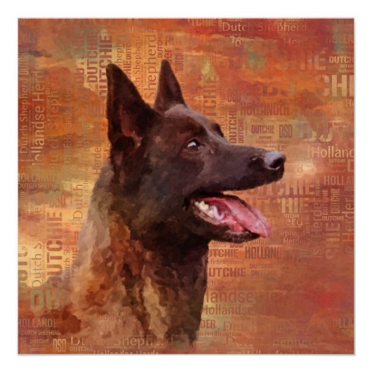 Dutch Shepherd - Nederlandse illustratie Perfect Poster (Voorkant)