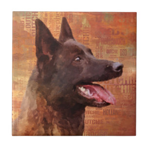 Dutch Shepherd - Nederlandse illustratie Tegeltje