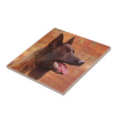 Dutch Shepherd - Nederlandse illustratie Tegeltje (Zijkant)