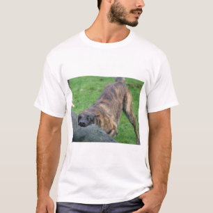Dutch Shepherd T-shirt