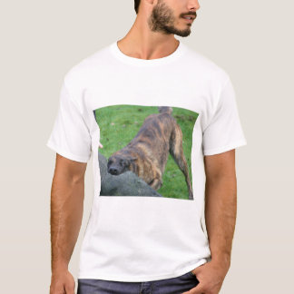 Dutch Shepherd T-shirt