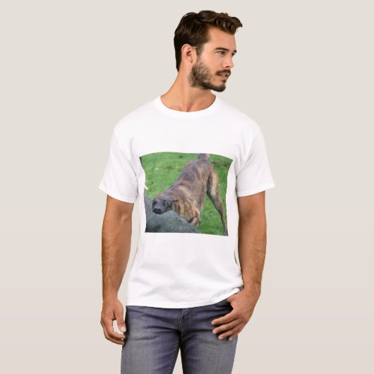 Dutch Shepherd T-shirt (Voorkant volledig)