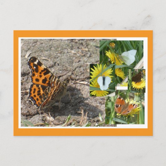 Dutch Summer Butterflies Collage DIY Briefkaart (Voorkant)