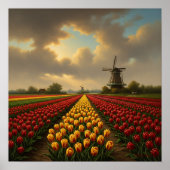 Dutch Tulip Fields Poster (Voorkant)