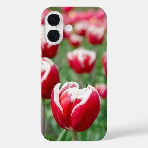 Dutch Tulip Garden iPhone 16 Hoesje