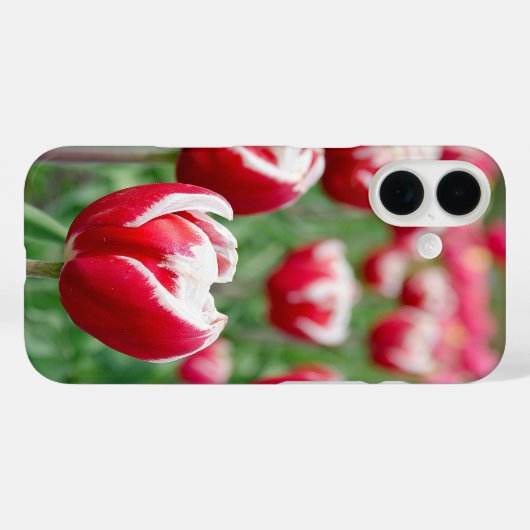 Dutch Tulip Garden Case-Mate iPhone Case (Achterkant (horizontaal))