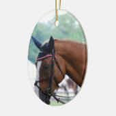 Dutch Warmblood Horse Ornament (Links)