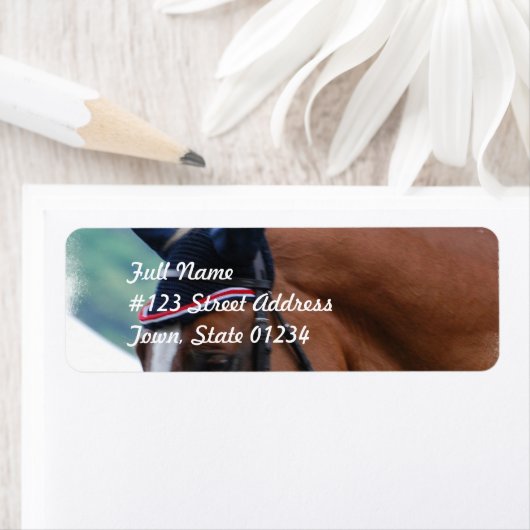 Dutch Warmblood Paard Mailing Label (Insitu)