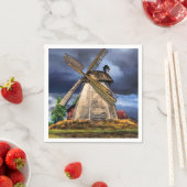 Dutch Windmill Napkins Servet (Insitu)