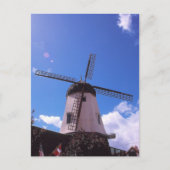 Dutch Windmill, Solvang CA Briefkaart (Voorkant)