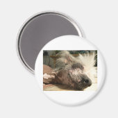 dutten magneet (Voorkant / Achterkant)