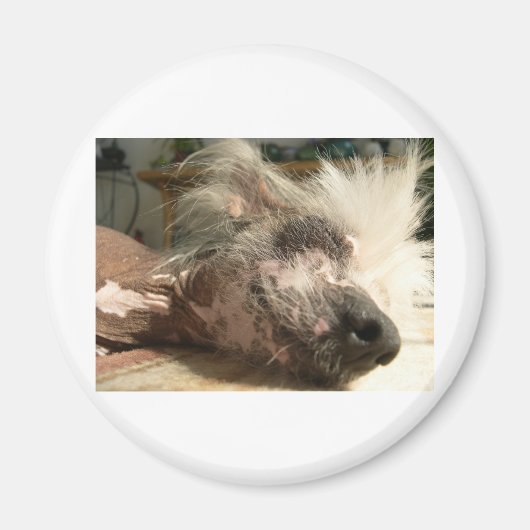 dutten magneet (Voorkant)