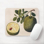 Duur van de fruitteelt muismat (Met muis)