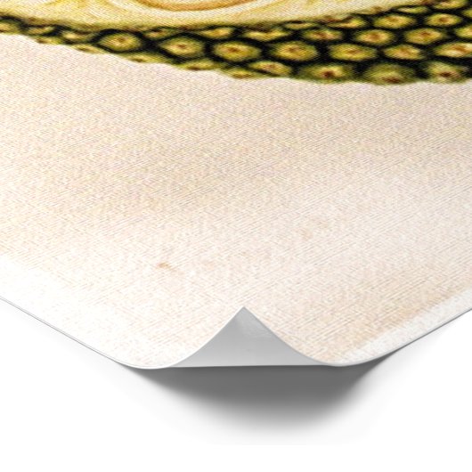 Duur van de fruitteelt poster (Hoek)