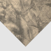 Duurzame Grunge textuur met vervormde gouden wandb Tissuepapier (Detail)