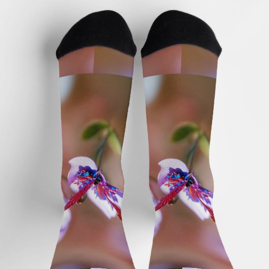 Duurzame sokken (Top)