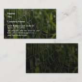 Duw- en spiraatwebben visitekaartje (Voorkant / Achterkant)