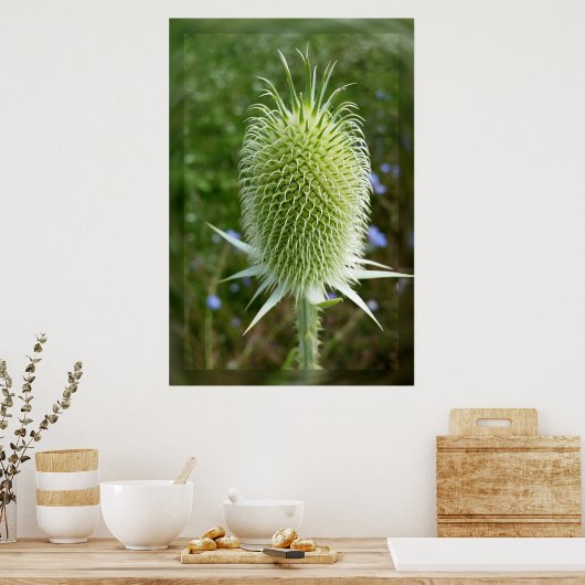 Duw in de zomerzon poster (Keuken)