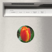 Duw op de Tulp Magneet (Insitu (Vaatwasser))