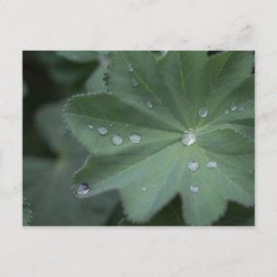 Duw op een lef briefkaart